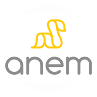 ANEM logo